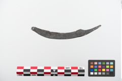 Foto von Eisengriffangelmesser (NHMW-PRAE-024173)